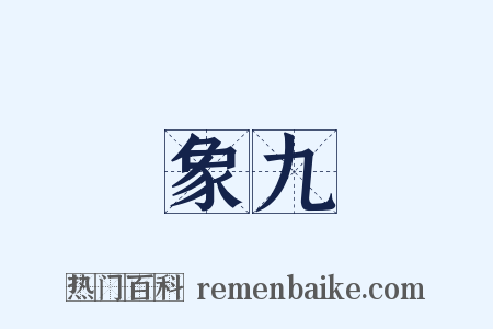 象九是什么意思的图片